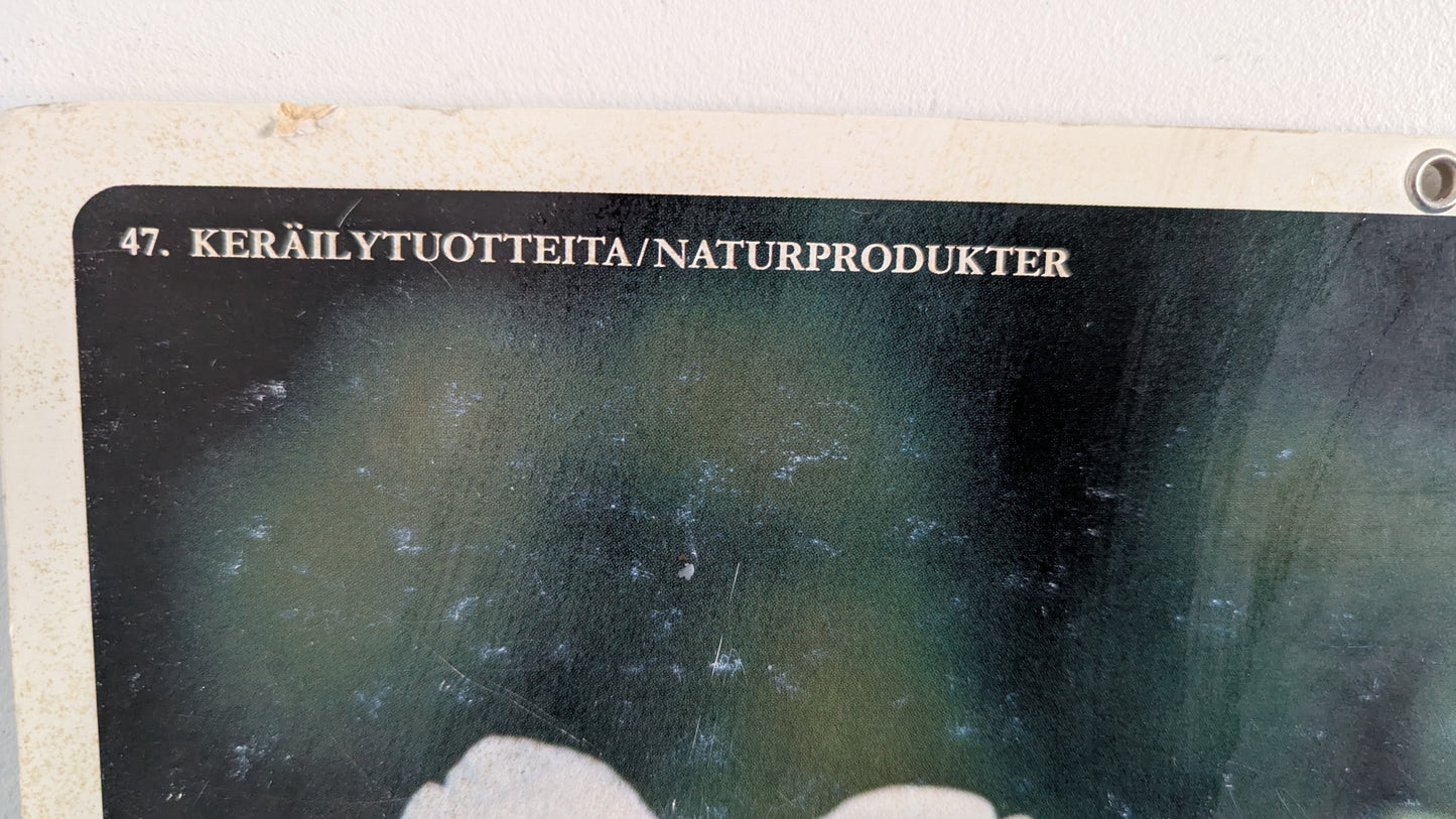 Opetustaulu Keräilytuotteita - Ahomansikka ja Variksenmarja (Caspro Ky)