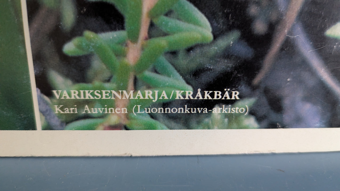 Opetustaulu Keräilytuotteita - Ahomansikka ja Variksenmarja (Caspro Ky)