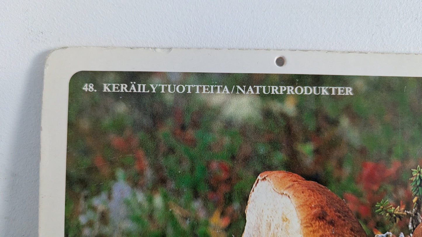 Opetustaulu Keräilytuotteita - Herkkutatti, Keltavahvero ja Karvarousku