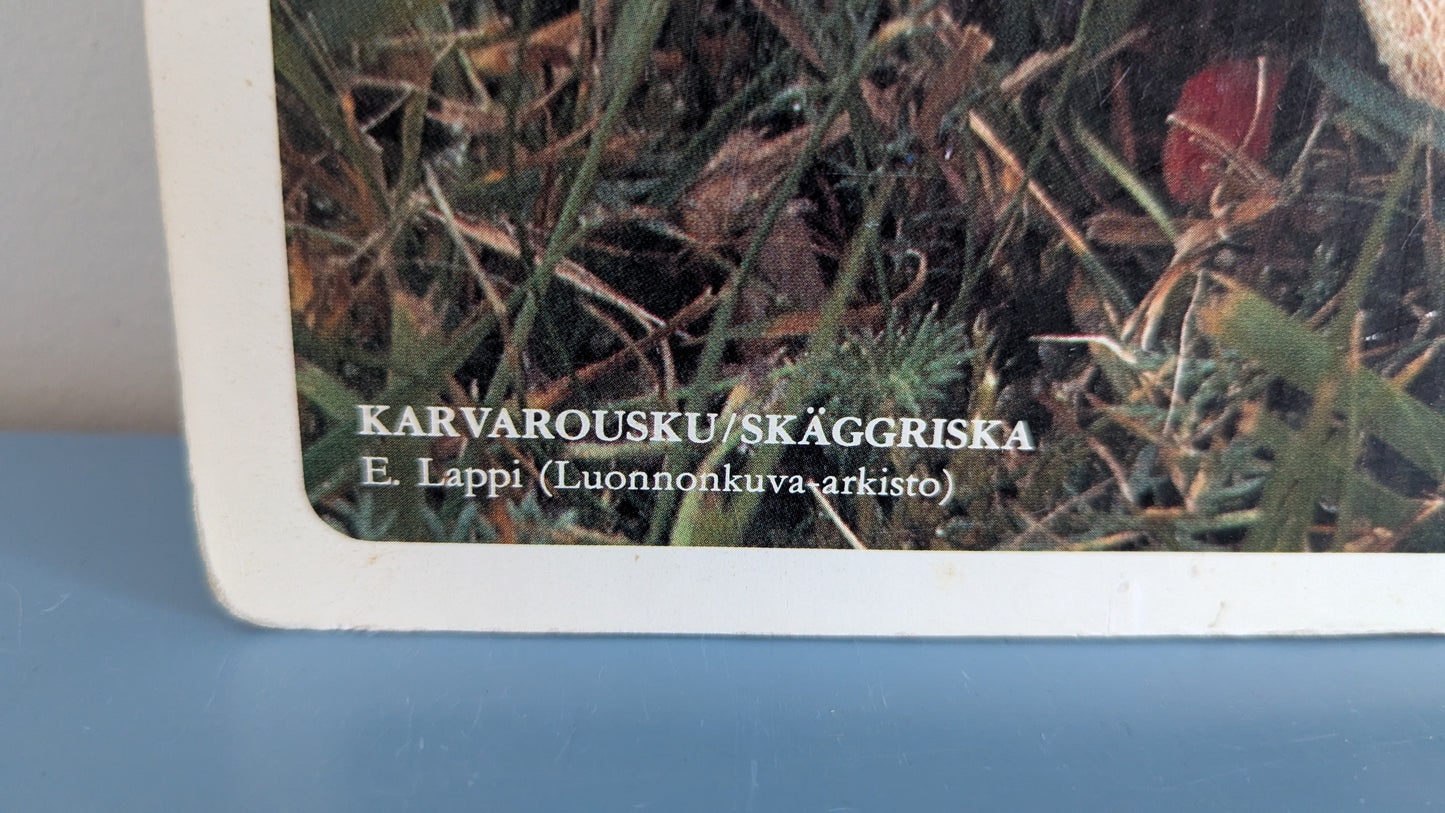 Opetustaulu Keräilytuotteita - Herkkutatti, Keltavahvero ja Karvarousku