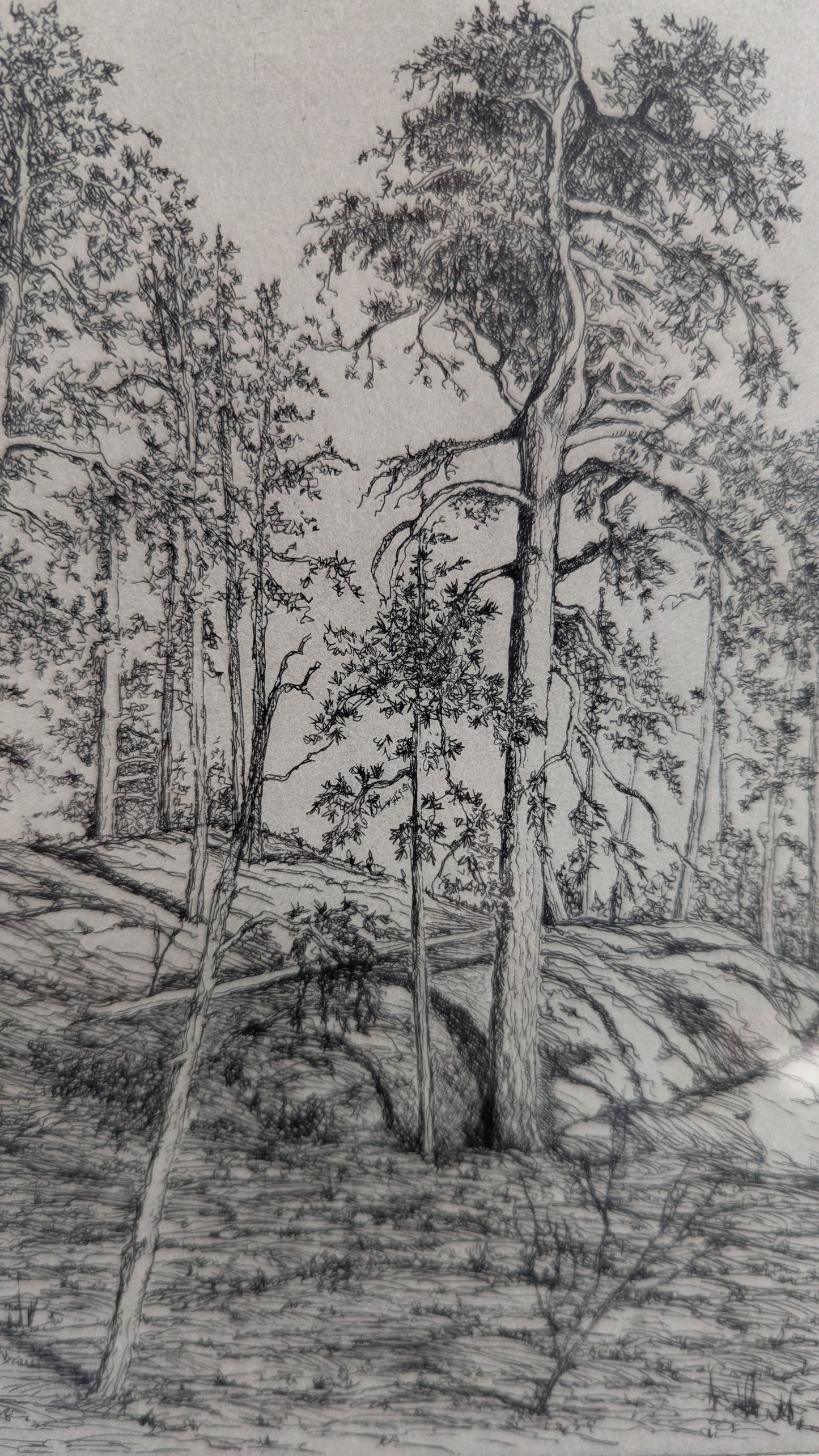 Matti Hartikainen - Signeerattu Etsaus (1973)