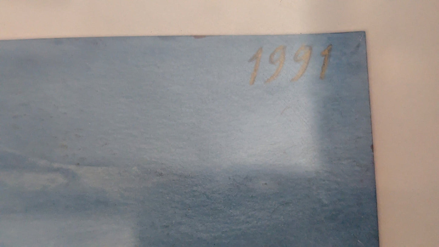 Petra Paajanen-Giacomelli - 15.1.1991  (Signeerattu Sekatekniikka 1991)