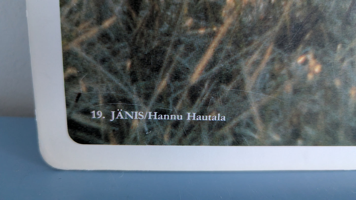 Opetustaulu - Jänis (Hannu Hautala)