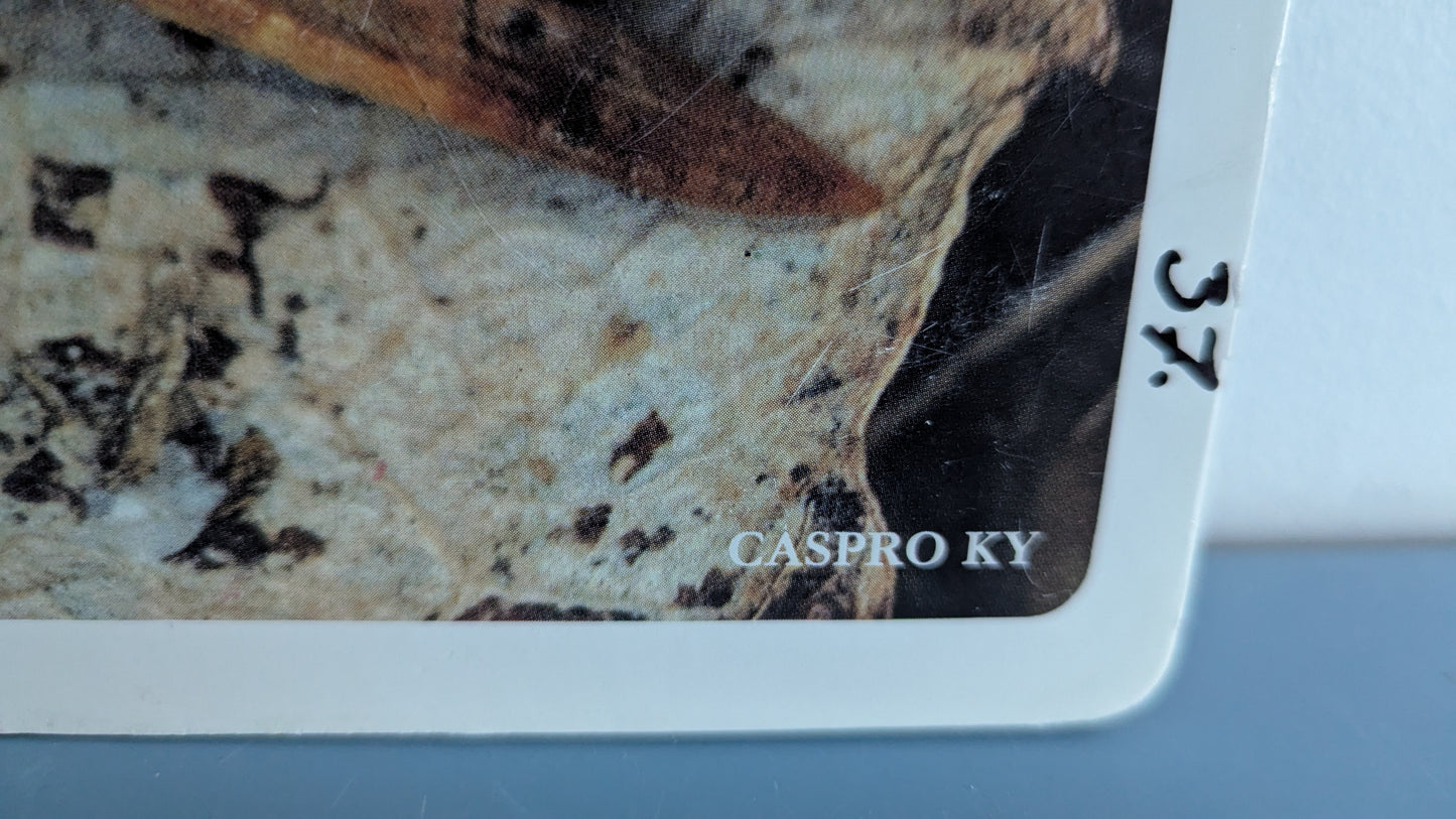 Opetustaulu - Hämähäkki ja Muurahainen (Caspro Ky)
