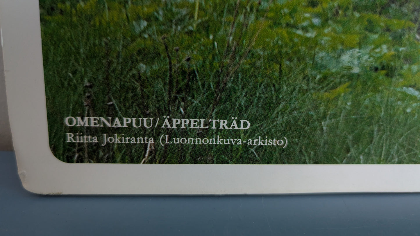 Opetustaulu Puutarha - Omenapuu (Caspro Ky)
