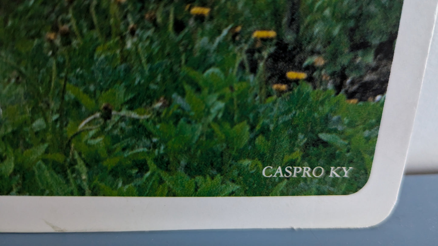 Opetustaulu Puutarha - Omenapuu (Caspro Ky)
