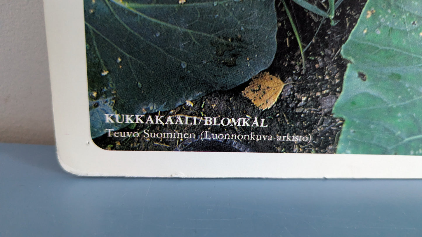 Opetustaulu Puutarha - Keräkaali ja Kukkakaali (Caspro Ky)