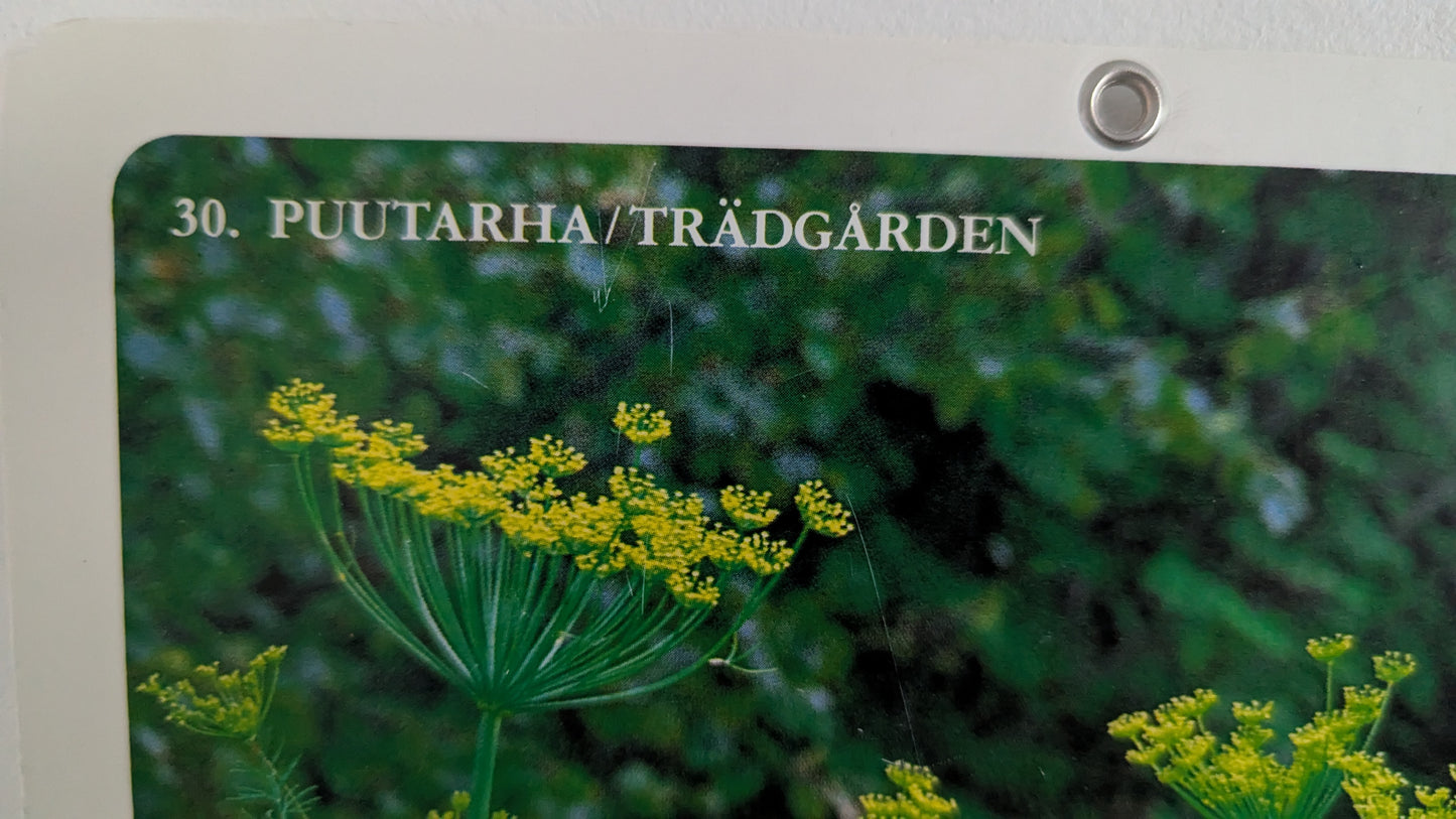 Opetustaulu Puutarha - Tilli, Retiisi ja Persilja (Caspro Ky)