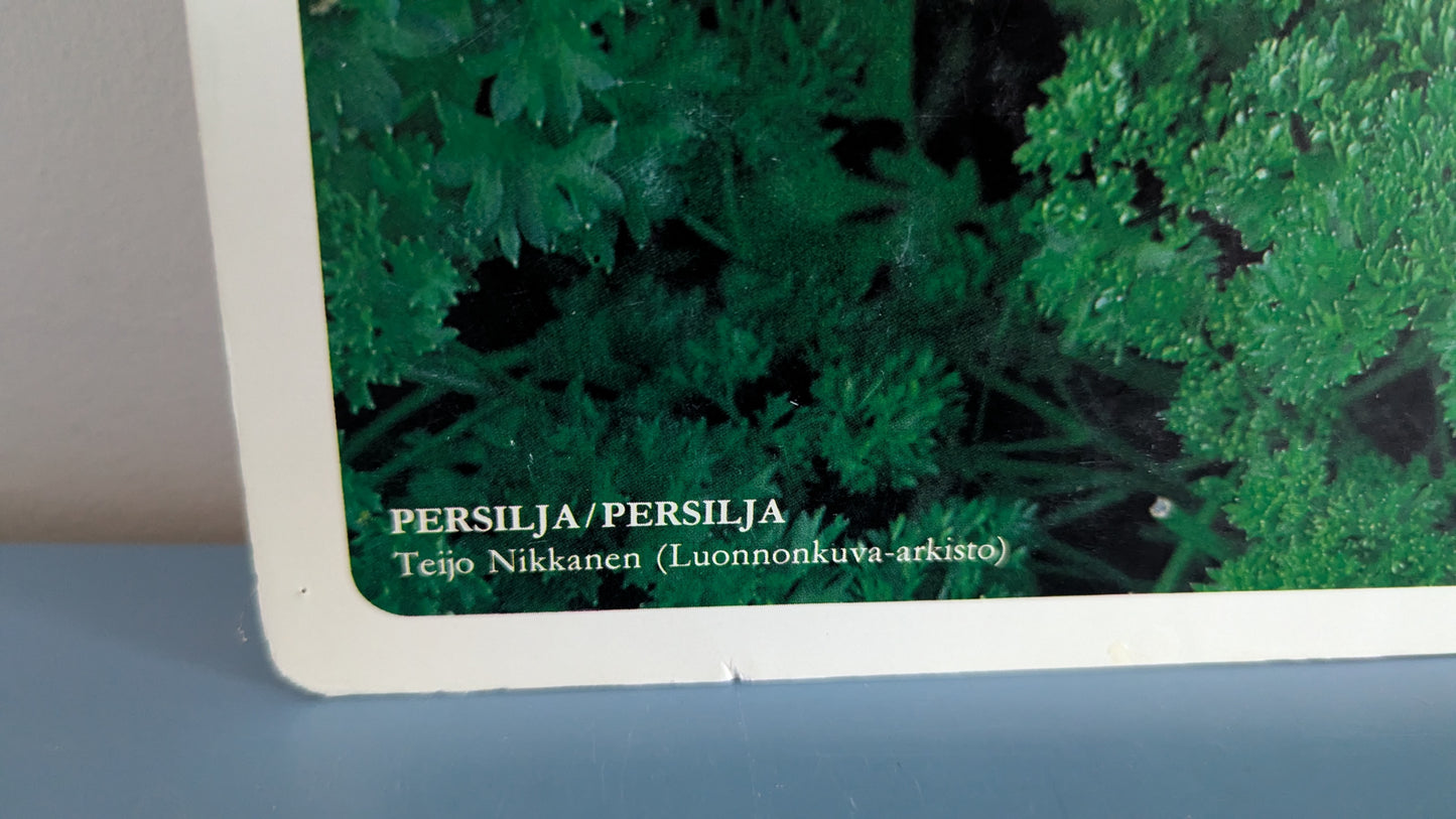 Opetustaulu Puutarha - Tilli, Retiisi ja Persilja (Caspro Ky)