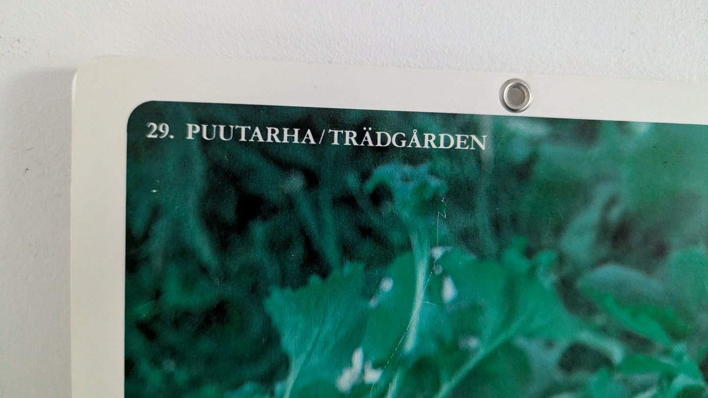Opetustaulu Puutarha - Nauris ja Lanttu (Caspro Ky)