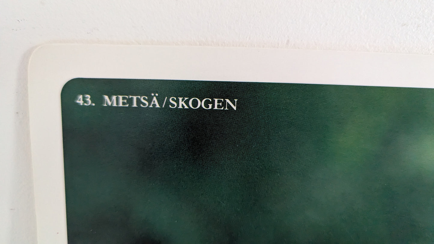 Opetustaulu Metsä - Oravanmarja ja Metsätähti (Caspro Ky)