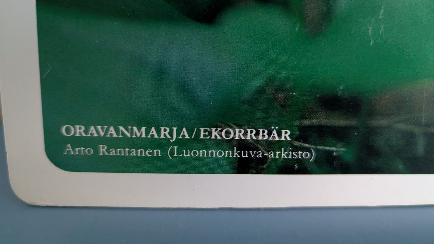 Opetustaulu Metsä - Oravanmarja ja Metsätähti (Caspro Ky)