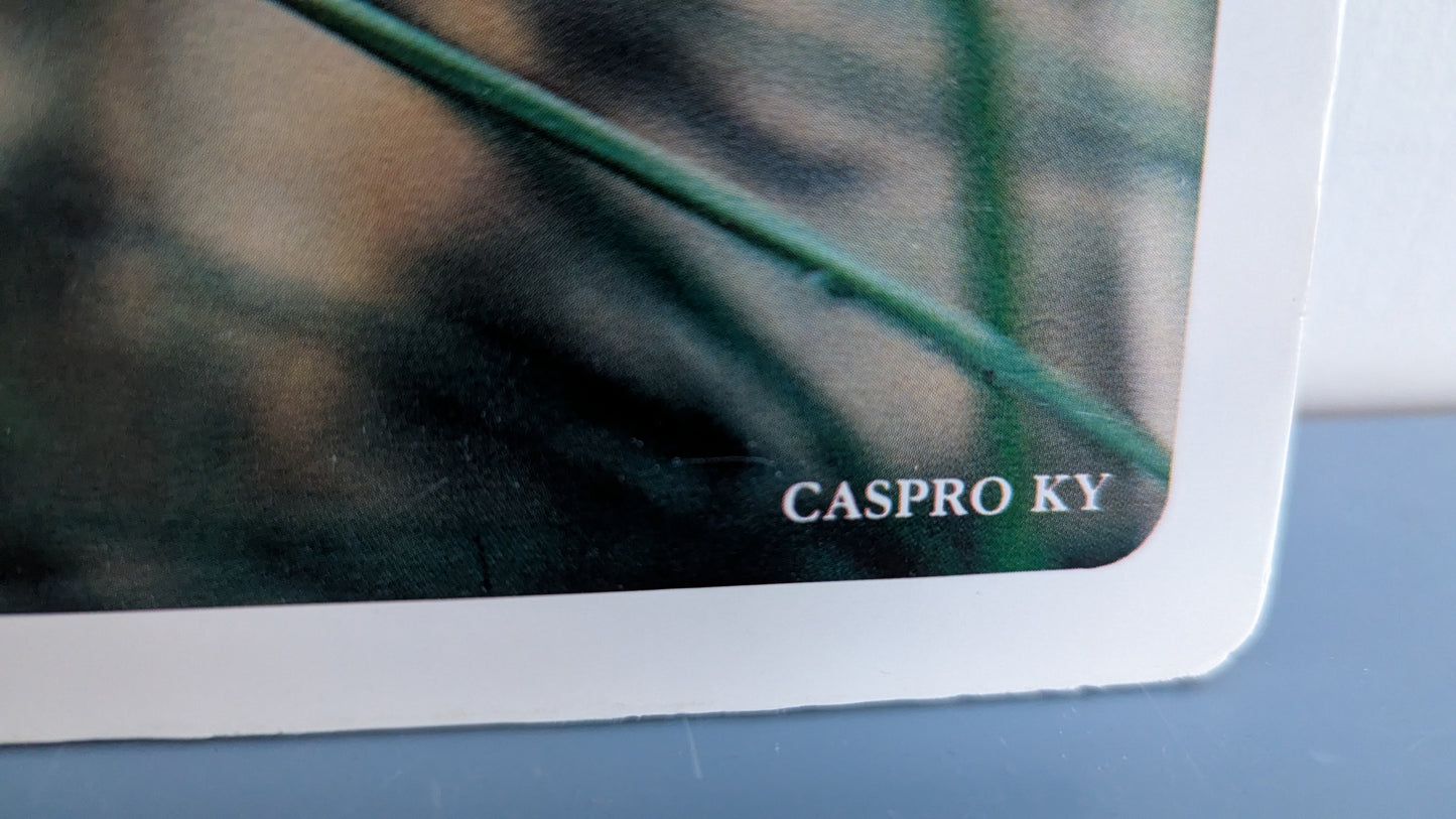 Opetustaulu Metsä - Oravanmarja ja Metsätähti (Caspro Ky)