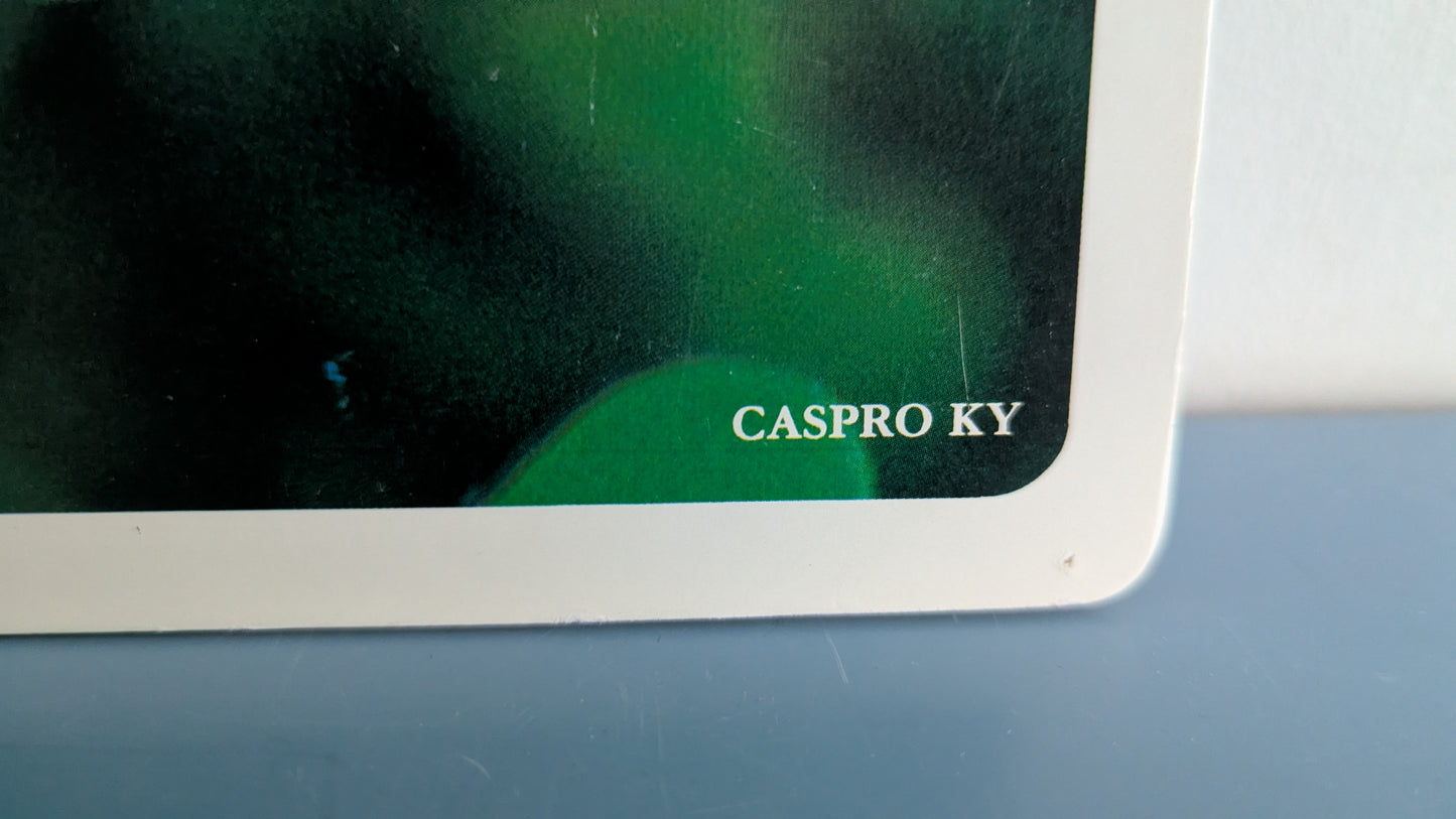 Opetustaulu Metsä - Käenkaali (Caspro Ky)