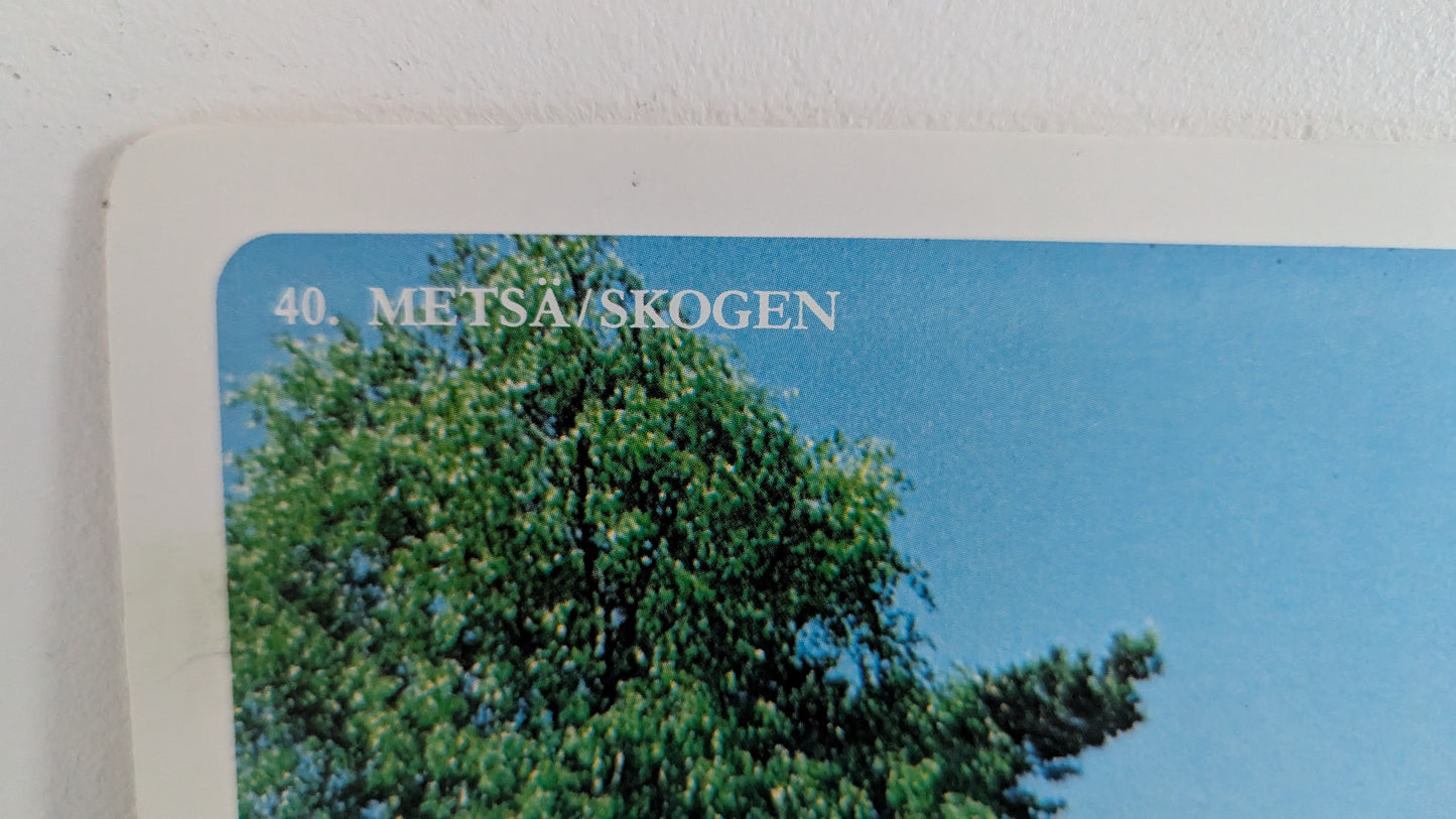 Opetustaulu Metsä - Mänty, Kuusi, Koivu jne (Caspro Ky)