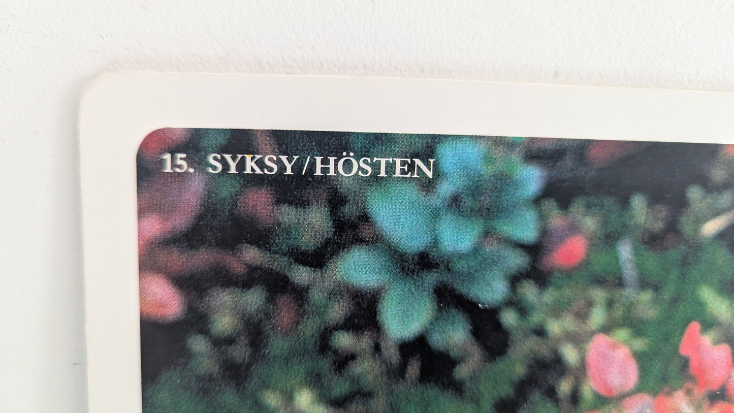 Opetustaulu Syksy - Puolukka, Mustikka, Jäkälä ja Sammal (Caspro Ky)