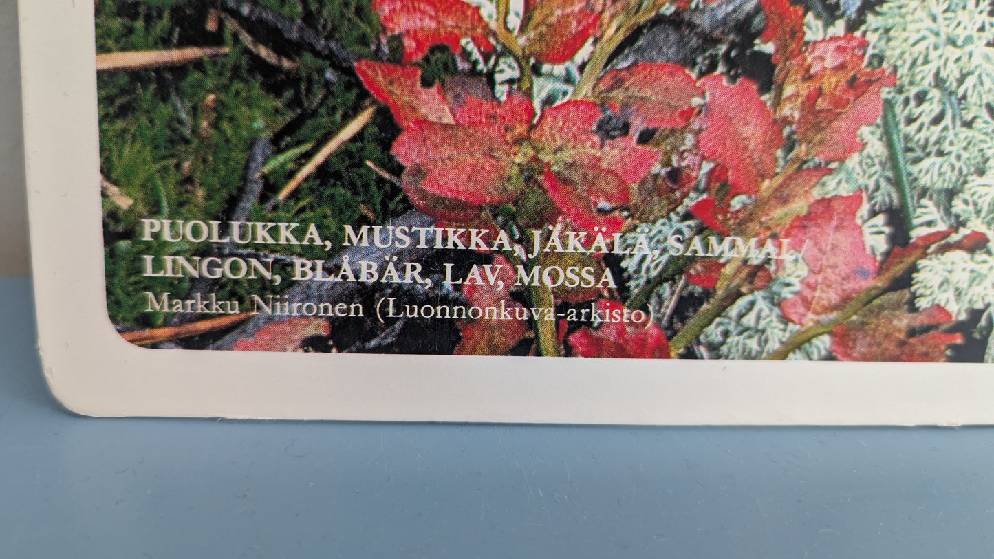 Opetustaulu Syksy - Puolukka, Mustikka, Jäkälä ja Sammal (Caspro Ky)