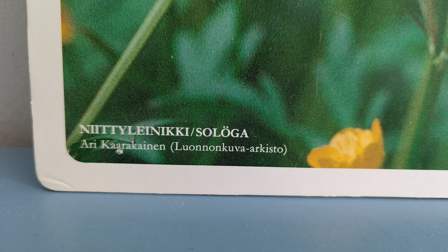 Opetustaulu Syksy - Niittyleinikki (Caspro Ky)