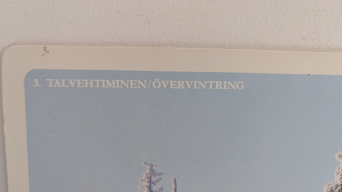 Opetustaulu Talvehtiminen - Havu- ja Lehtipuut jne (Caspro Ky)