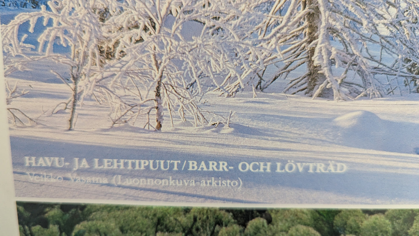 Opetustaulu Talvehtiminen - Havu- ja Lehtipuut jne (Caspro Ky)