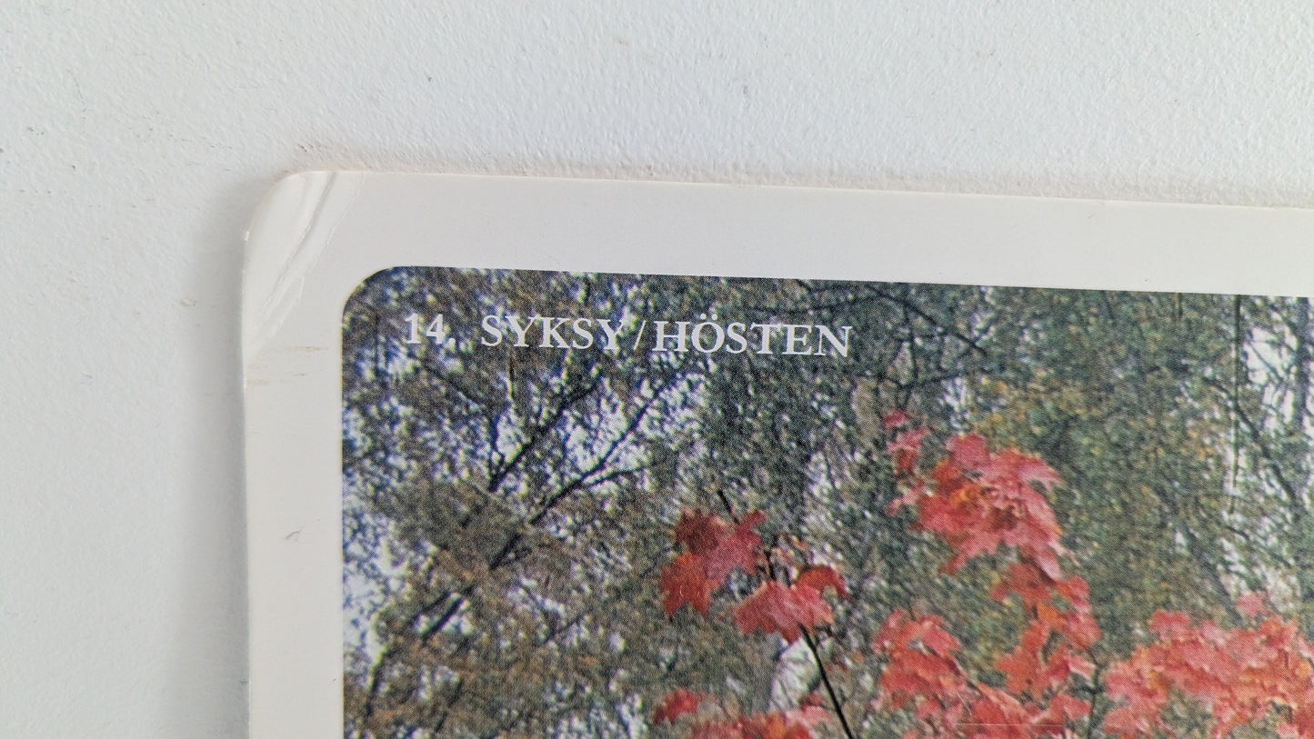 Opetustaulu Syksy - Lehti ja Havupuita (Caspro Ky)