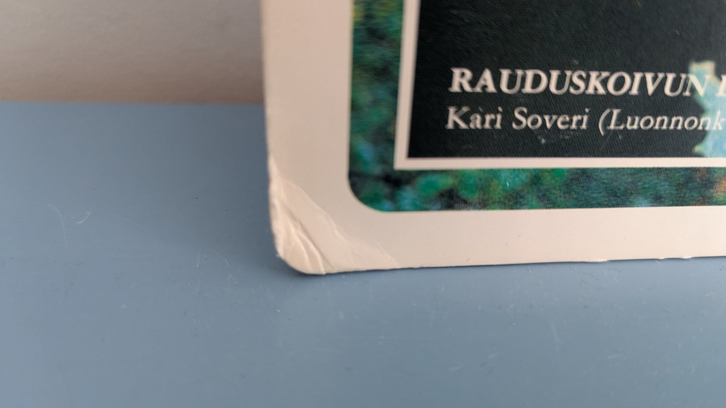 Opetustaulu Syksy - Koivu, Silmu, Kukinto ja Lehdet (Caspro Ky)