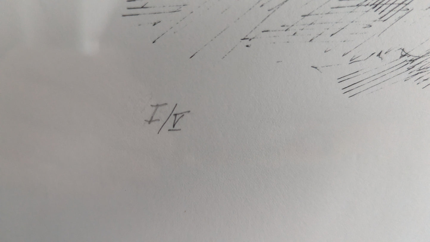 Cilla Thome - Signeerattu ja Numeroitu (1/5) Teos (1982)