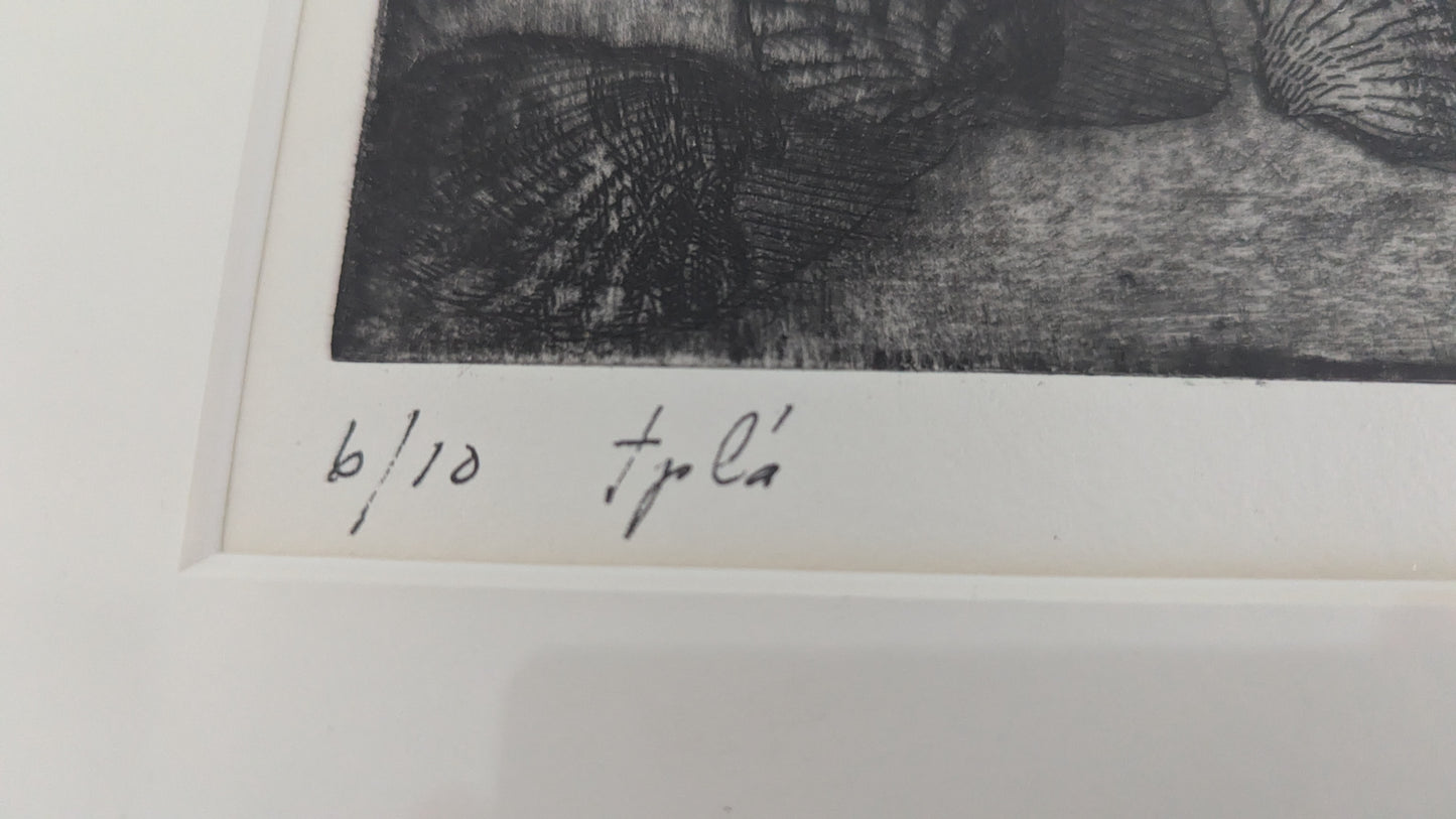 Elina Salo - Signeerattu Grafiikka (1964)