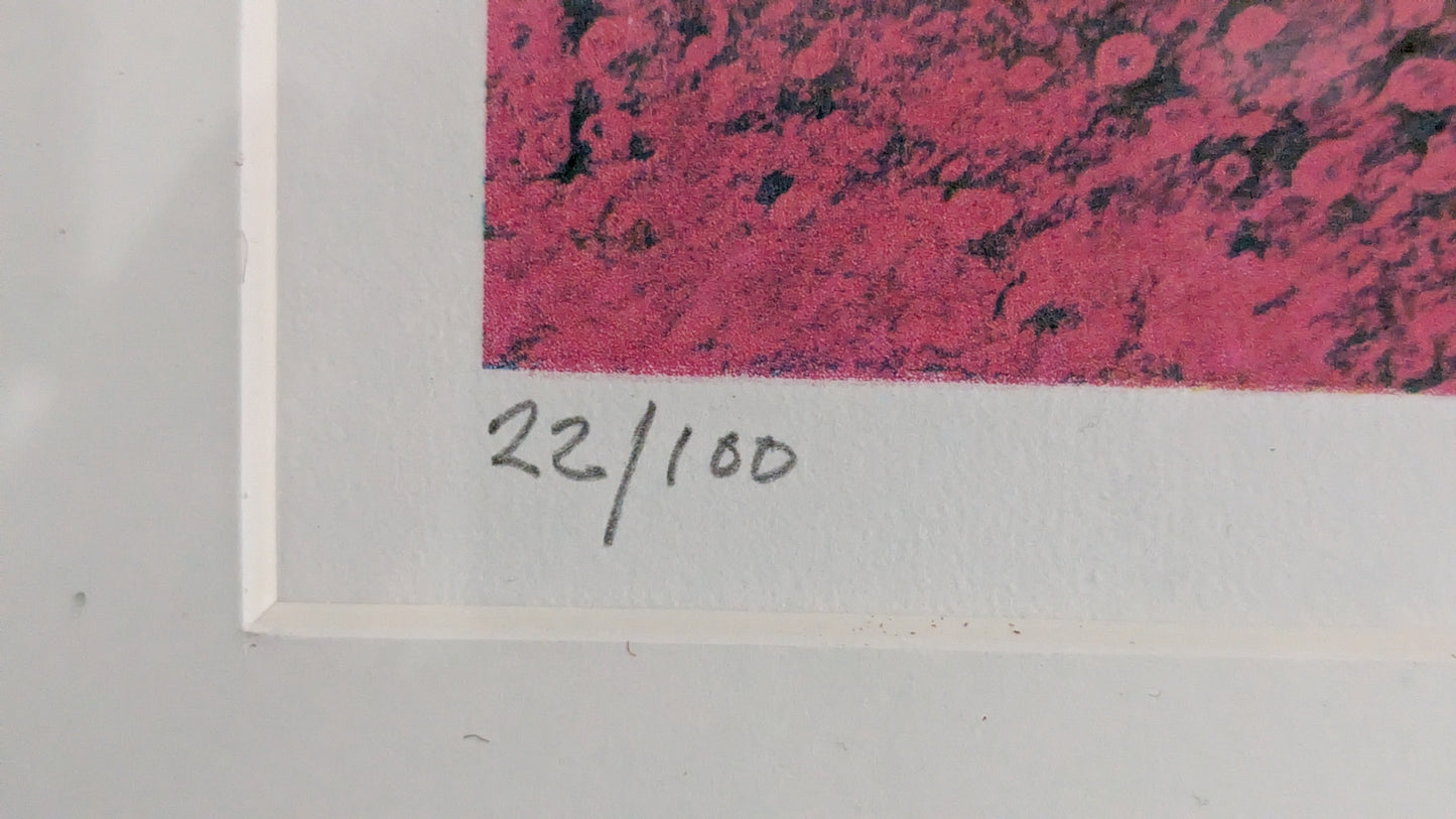 Juha Soisalo - Signeerattu ja Numeroitu 22/100 Grafiikka (2008)
