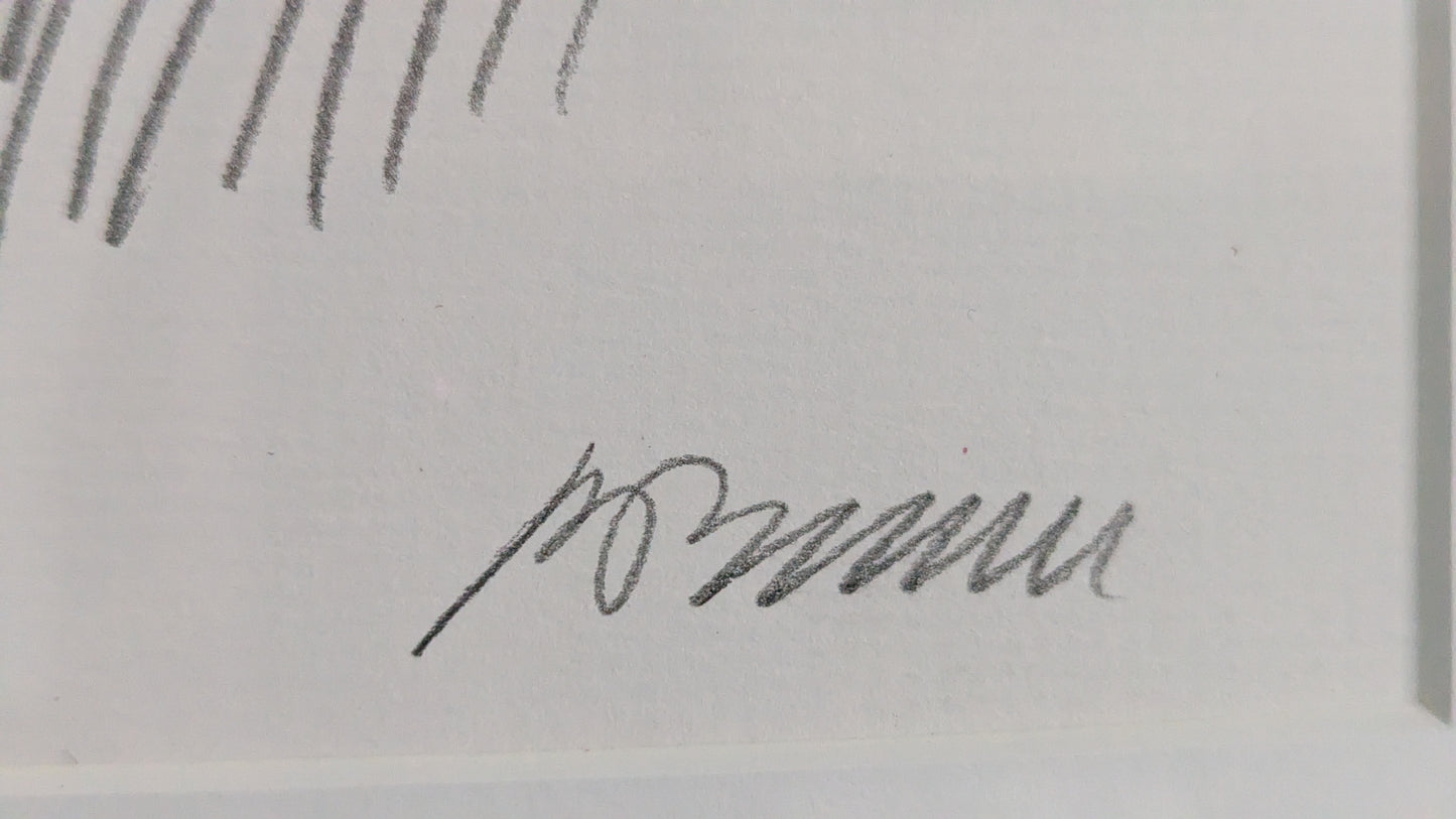 Rolf Erik Bruun - Mannerheim 1904 (Signeerattu Litografia 2009)
