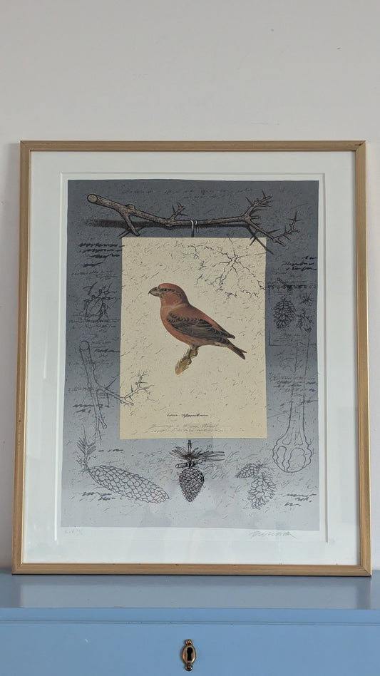 Raimo Kanerva - Hommage à W. v. Wright (Signeerattu Grafiikka, Koevedos)