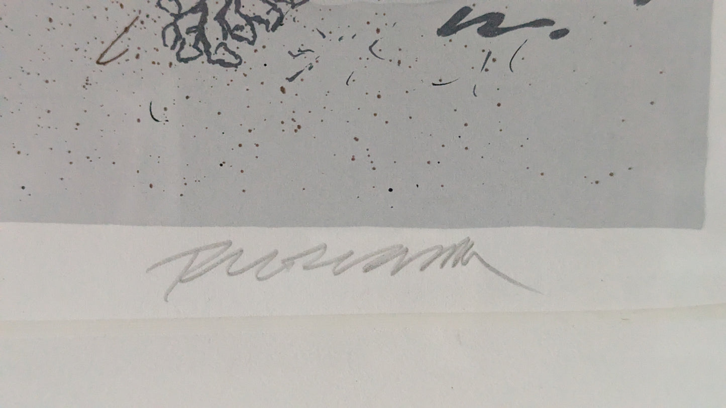 Raimo Kanerva - Hommage à W. v. Wright (Signeerattu Grafiikka, Koevedos)