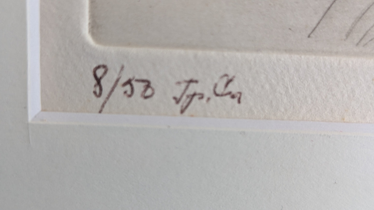 Elina Salo - Signeerattu Grafiikka (1976)
