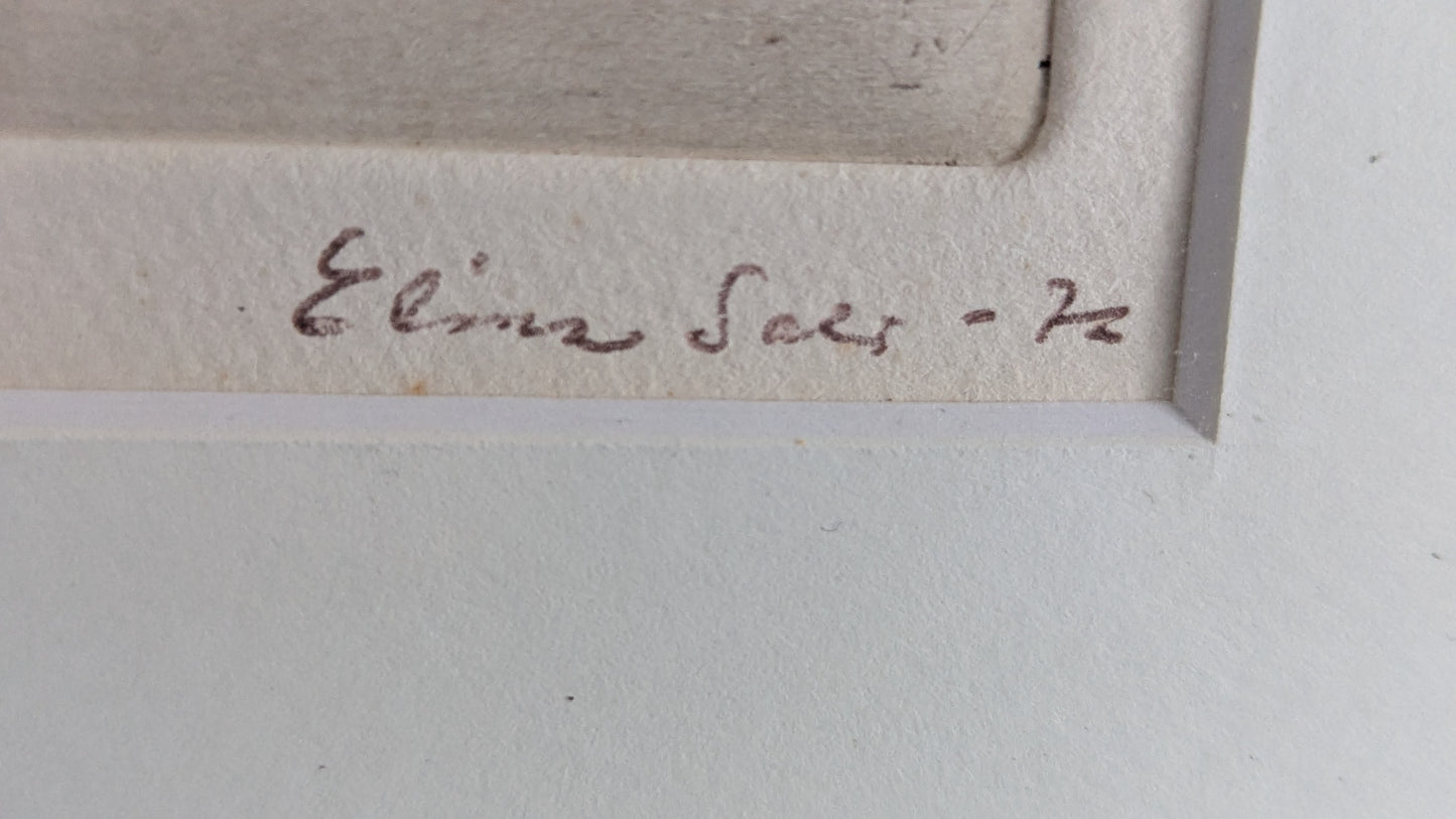 Elina Salo - Signeerattu Grafiikka (1976)