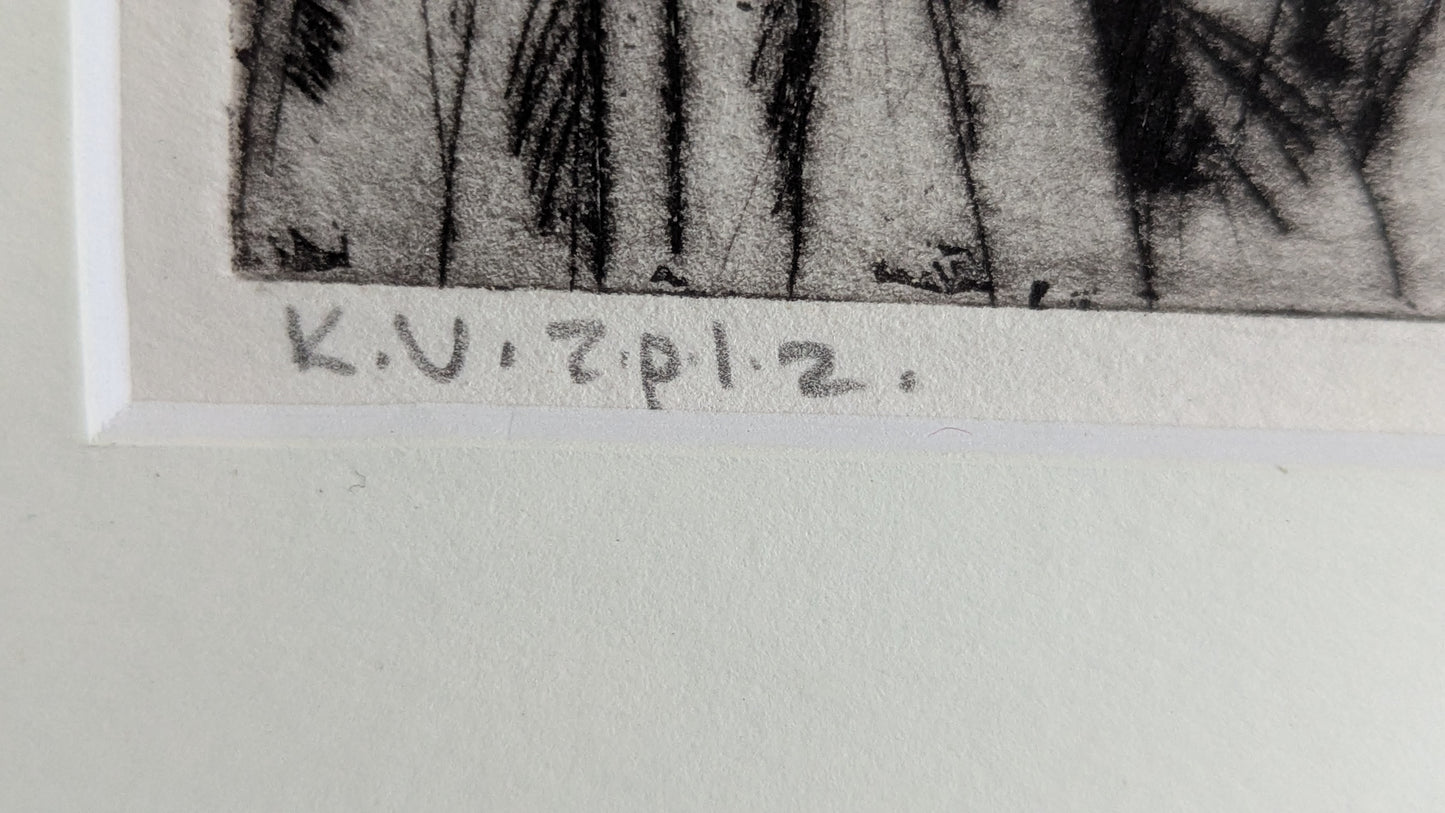 Sirpa-Helena Viljanen - Mustalintu (Signeerattu Grafiikka, Koevedos)