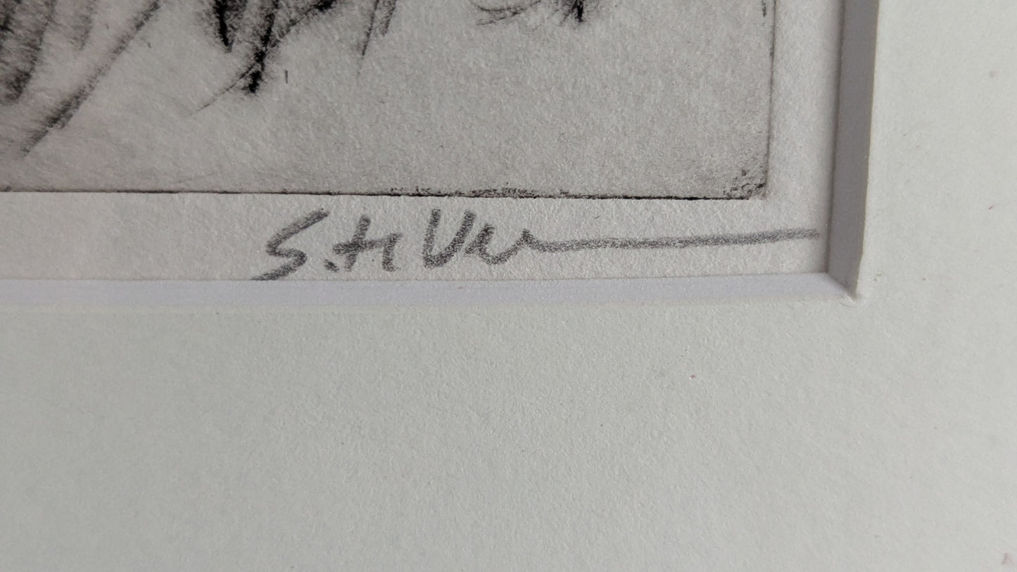 Sirpa-Helena Viljanen - Mustalintu (Signeerattu Grafiikka, Koevedos)