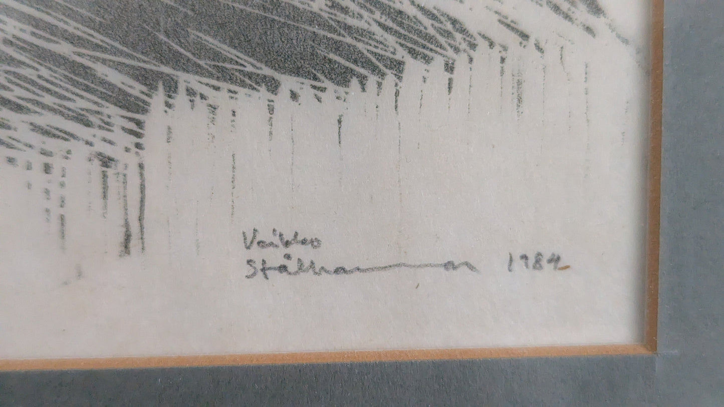 Veikko Stålhammar - Signeerattu Etsaus (1984)