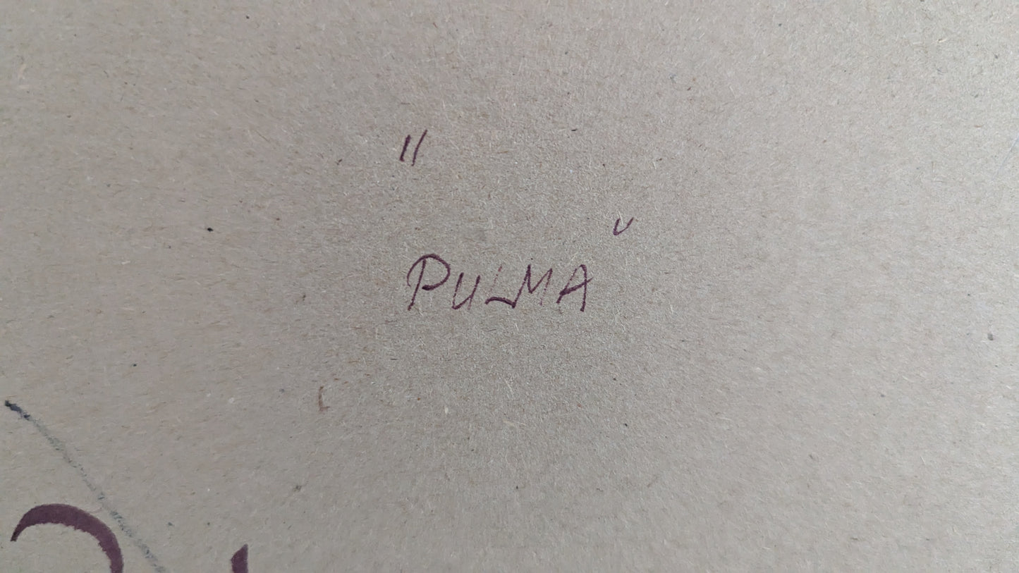 Pertti Kolehmainen - Pulma (Signeerattu Tussityö 1982)