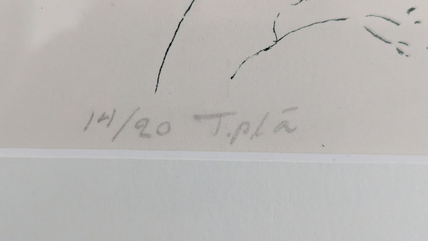 Leo Rannikko - Aihe Pitäjäenmäeltä (Signeerattu Grafiikka 1980)