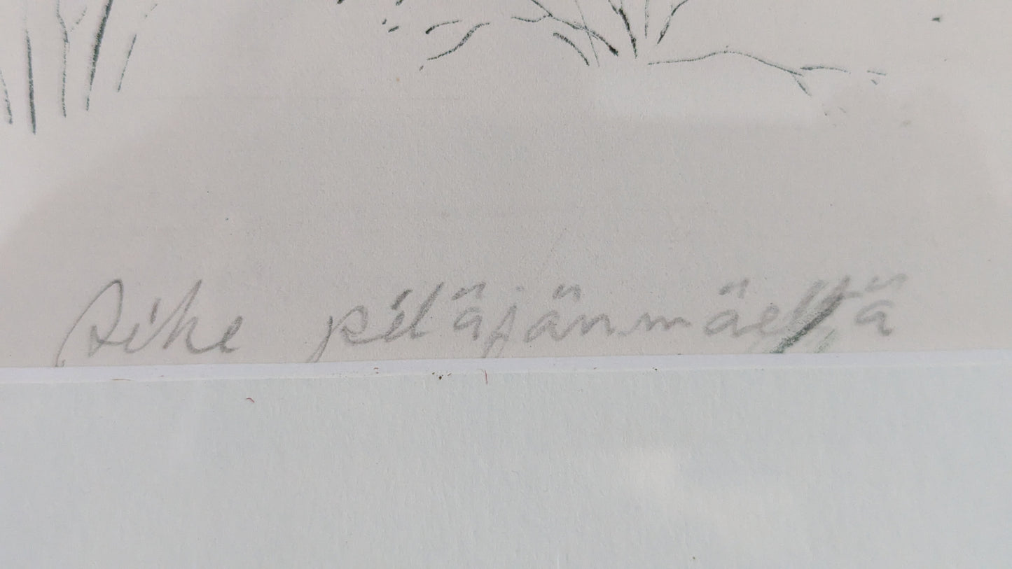 Leo Rannikko - Aihe Pitäjäenmäeltä (Signeerattu Grafiikka 1980)