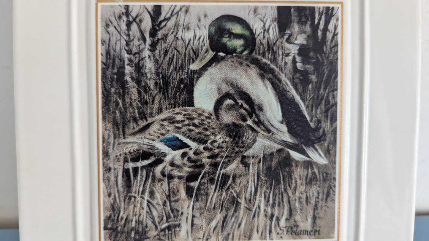 Kermansavi - Vesilinnut Sinisorsa Seinälaatta (1997-1999, Seppo Polameri)