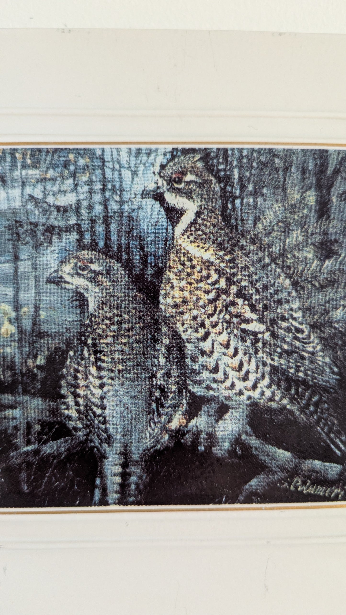 Kermansavi - Riistalinnut Pyy Seinälaatta (1997-1999, Seppo Polameri)
