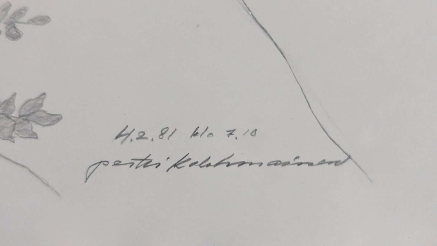 Pertti Kolehmainen - Lomalla (Signeerattu Lyijypiirros 1981)