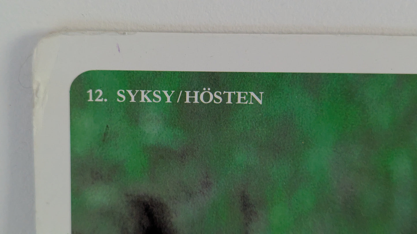 Opetustaulu Syksy - Voikukka (Caspro Ky)