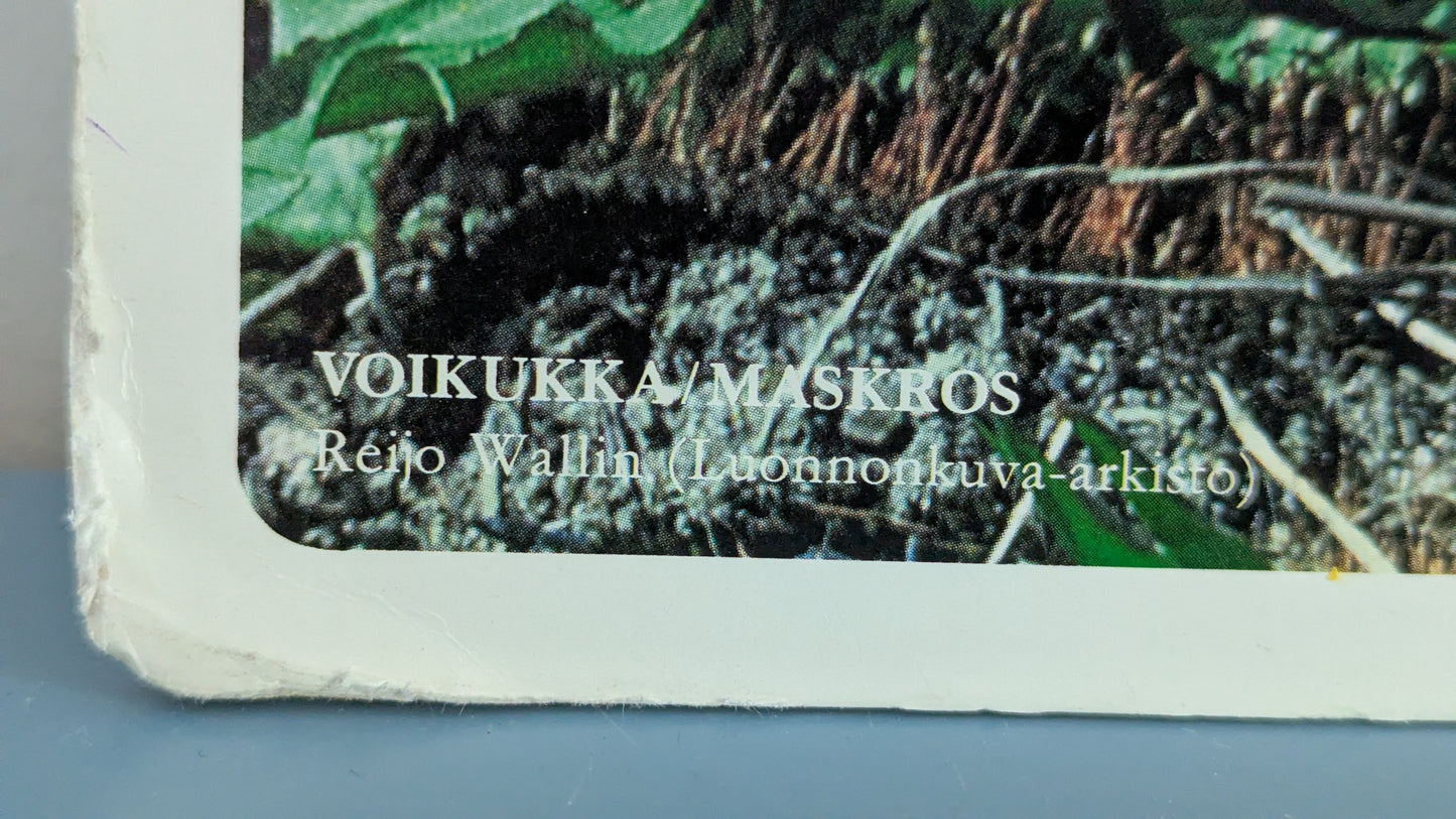 Opetustaulu Syksy - Voikukka (Caspro Ky)