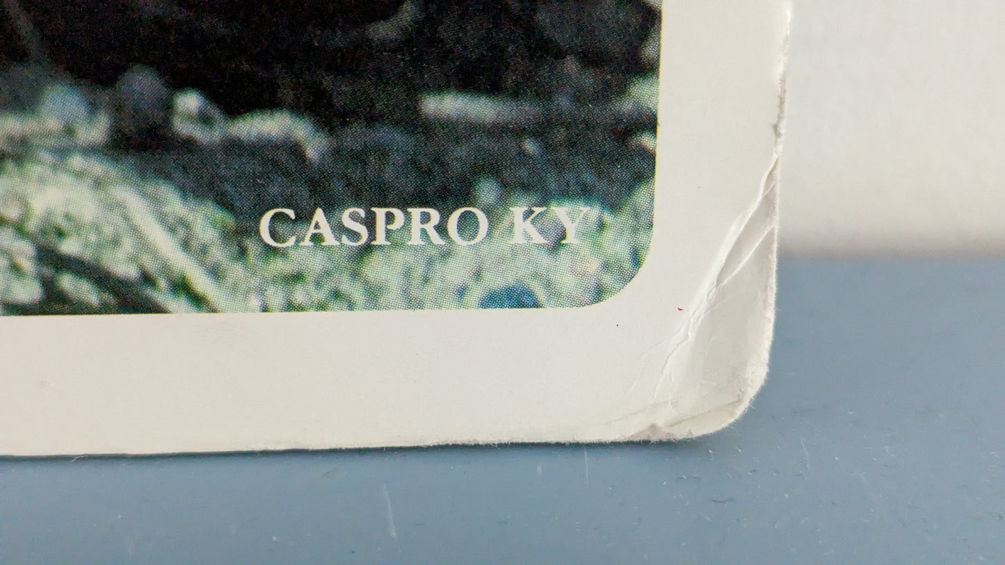 Opetustaulu Syksy - Voikukka (Caspro Ky)