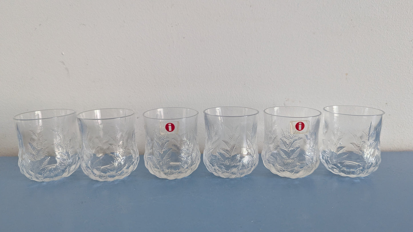 Iittala Koivu Snapsilasi (6kpl, 1981-1984, Valto Kokko)