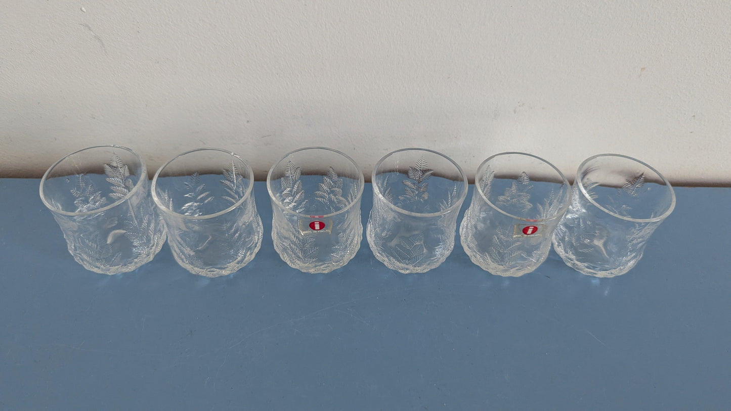 Iittala Koivu Snapsilasi (6kpl, 1981-1984, Valto Kokko)