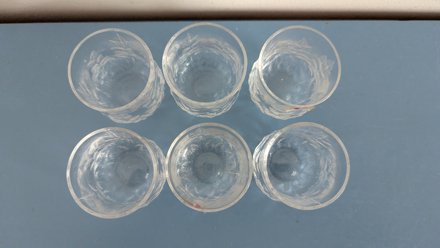 Iittala Koivu Snapsilasi (6kpl, 1981-1984, Valto Kokko)