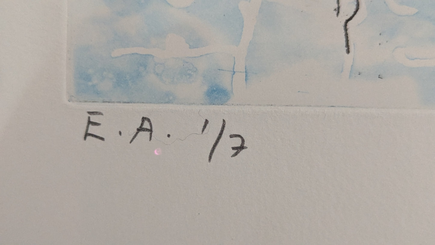 Teemu Saukkonen - Kaikki Pelissä (Signeerattu Grafiikka 2007)